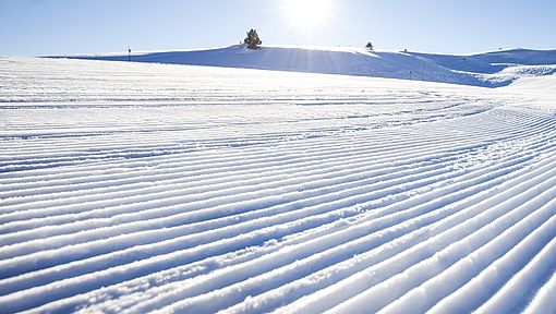 Wachs macht’s aus. Mach deine Ski fit für dein Rennen
